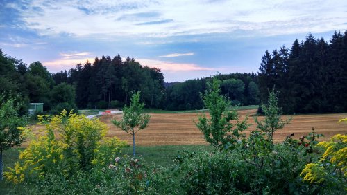 IMG_20180807_203328.jpg