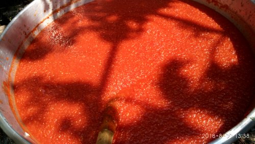 IMG_30082018_133830_HDR.jpg