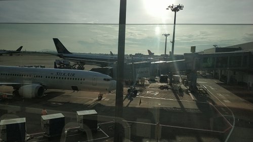 wx_camera_1541980645566.jpg