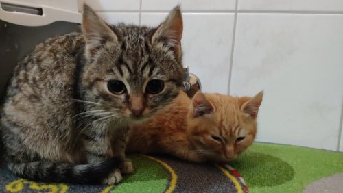 2019-01-05 18.14.21.jpg