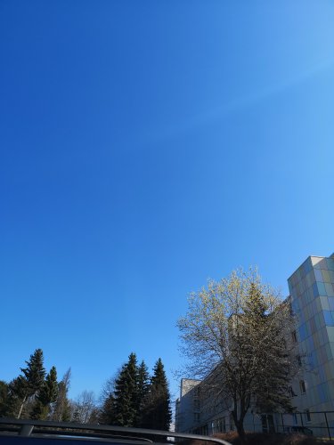 15532580350126294978753521137513.jpg
