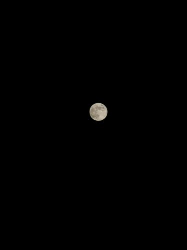 Mond 3.jpg