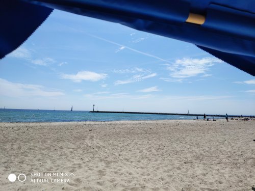 IMG_20190602_130726.jpg