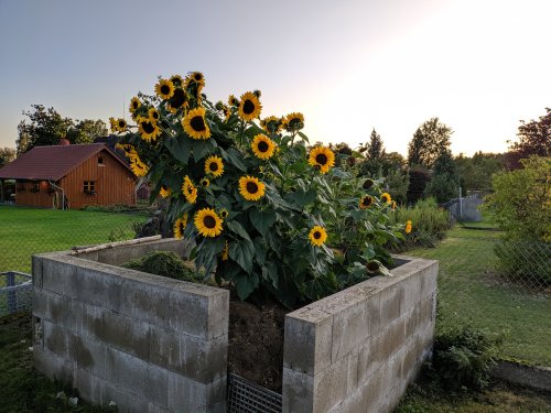 IMG_20190927_183829.jpg