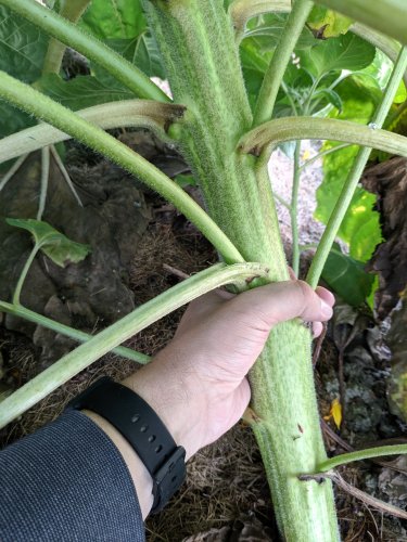 IMG_20190927_183854.jpg