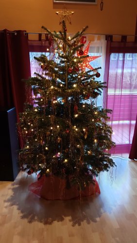 IMG_20191222_115958.jpg