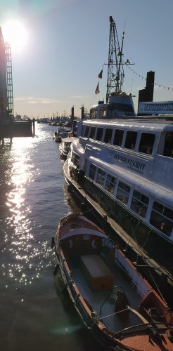 IMG_20200420_080143.jpg