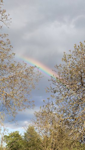 IMG_20200429_190816.jpg