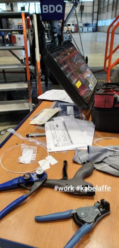 IMG_20201216_090359_070.jpg
