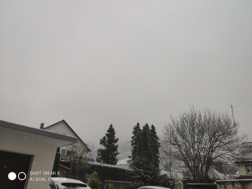 IMG_20210108_112026.jpg