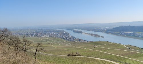 IMG_20210331_131812.jpg