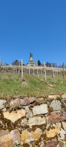 IMG_20210331_130024.jpg