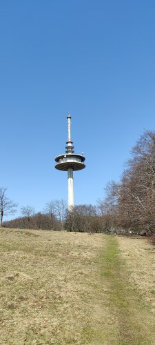 IMG_20210401_140508.jpg