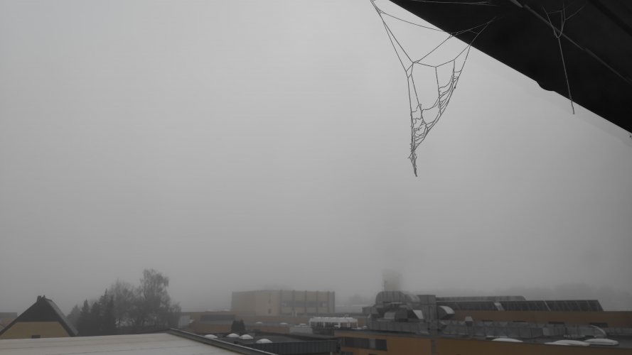 IMG_20211221_110300.jpg