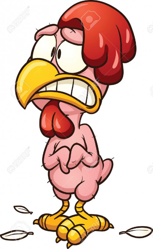 Gerupftes-Huhn.jpg