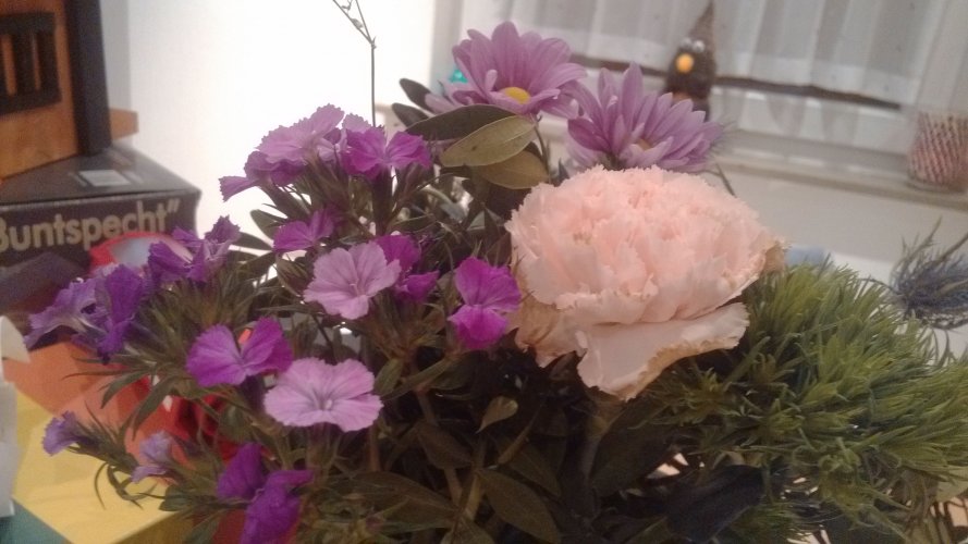 Blumen_Mi1.jpg