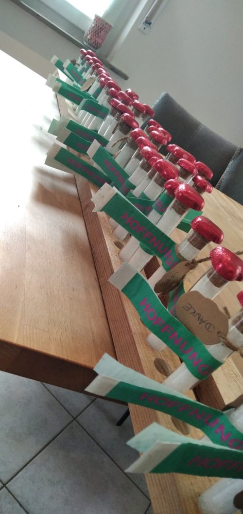 IMG-20220424-WA0017.jpg IMG-20220424-WA0017.jpg