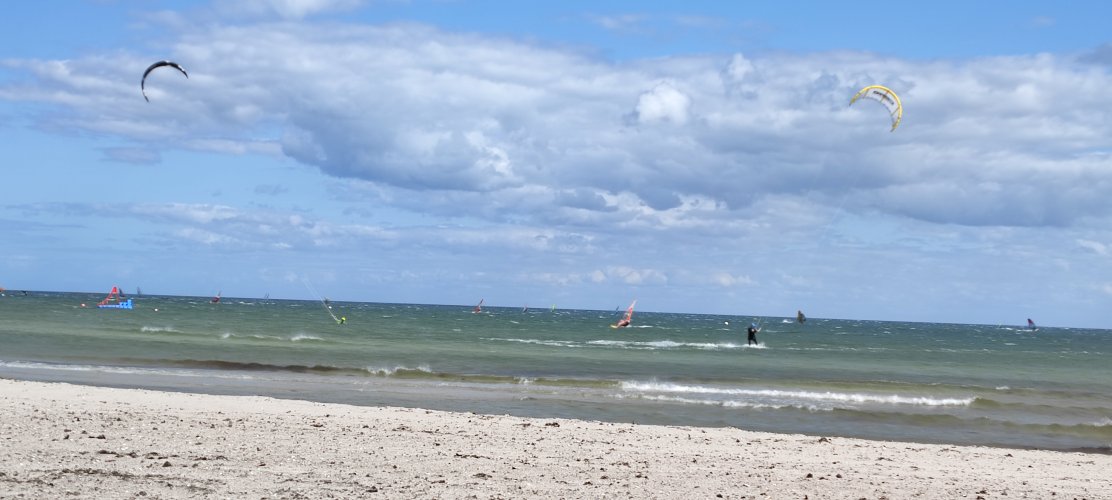 IMG_20220526_160315.jpg
