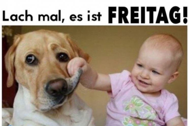 freitag.jpg