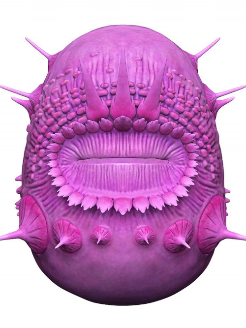 1660911716537.png