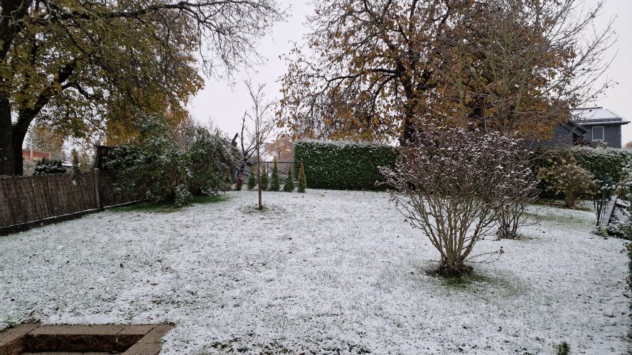 20221119_081325.jpg