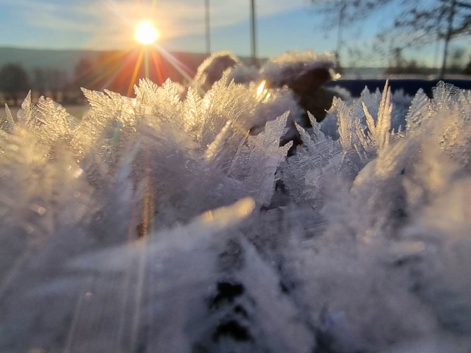 20221218_094243.jpg