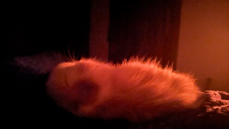 PXL_20230129_202546748~2.jpg