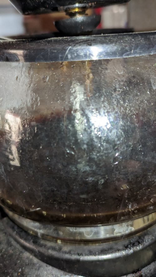 PXL_20230301_094347421.jpg