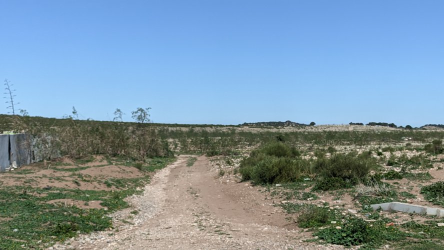 PXL_20230307_111228601.MP.jpg