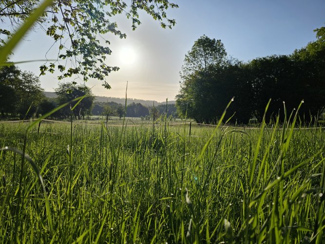 20230518_071234.jpg