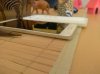 IMG-20160827-WA0001.jpg