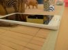 IMG-20160827-WA0003.jpg