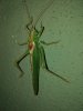 IMG_20160827_202517.jpg