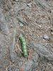 IMG_20160910_135448.jpg