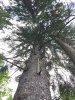 IMG_20160910_135539.jpg