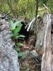 IMG_20160910_135732.jpg