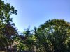 IMG_20160918_104202_HDR.jpg