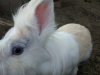 IMG_20160930_175149.jpg
