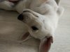 IMG_20161001_164049.jpg
