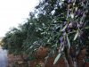 IMG_20161019_175214.jpg