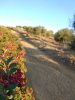 IMG_20161019_175436.jpg