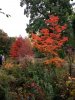 IMG_20161020_104121.jpg