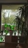 IMG_20161106_122743-768x1303.jpg