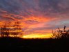 20151117_070513.jpg