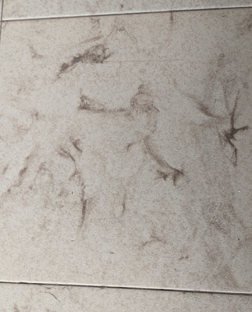 PXL_20230827_183928509.jpg