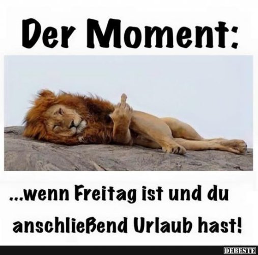 f1112f5bcf17b32bc3c777d1dc62bea8.jpg