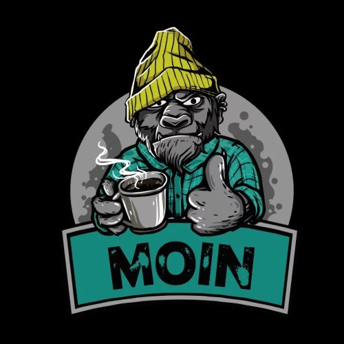 Moin-Baer-Logo.jpeg