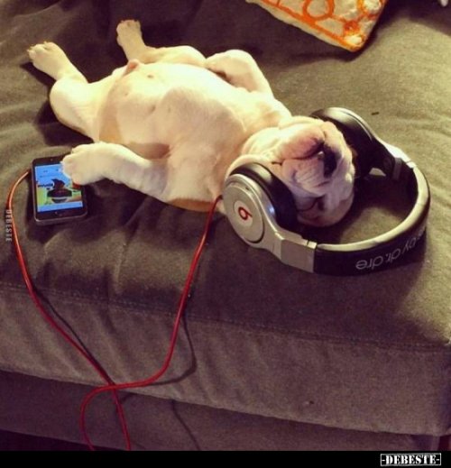 Chillen.jpg