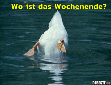 b5a7b1591c51502043a606cea78200d26939.gif