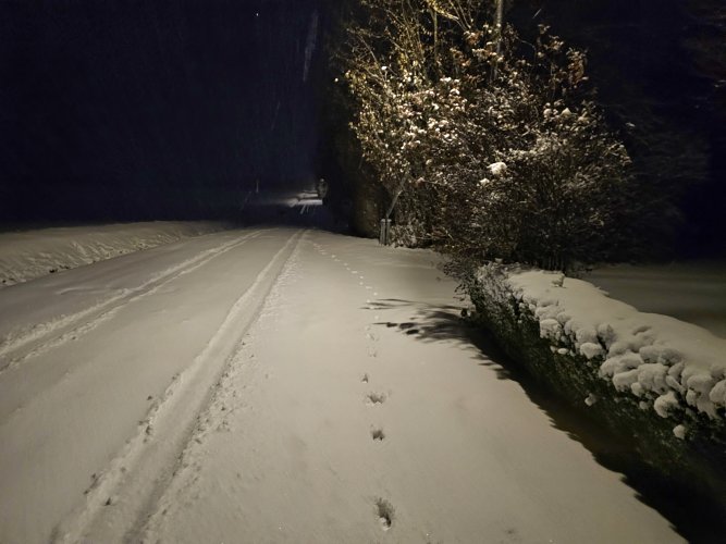 20231129_054713.jpg